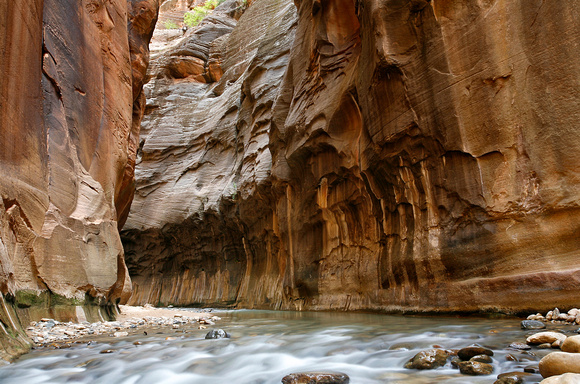 The Zion Narrows