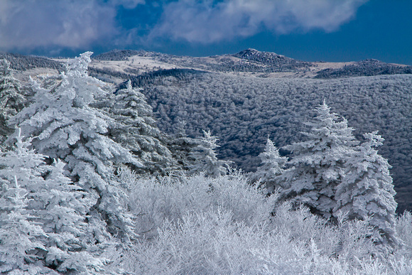 Mt. Rogers Winter